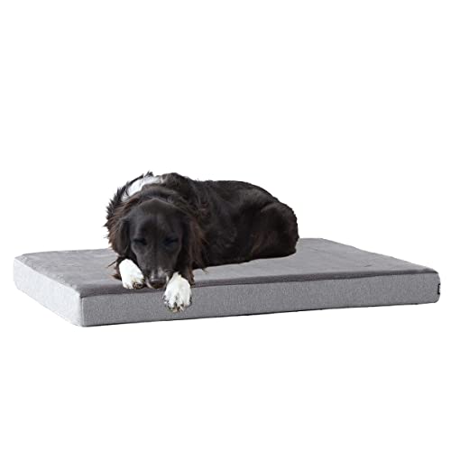 BARK Orthopedic Dog Bed with Memory Foam - Premium Comfort for Dogs and Puppies - Dog Beds Medium Sized Dog - Dog Bed for Joint Relief and Restful Sleep - Durable and Easy to Clean |Grey, Medium