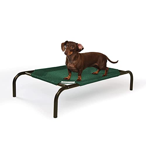 Coolaroo The Original Cooling Elevated Pet Bed,Brunswick Green, Small