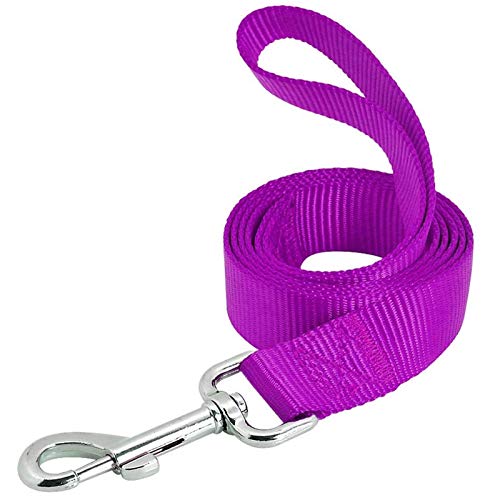 AEDILYS Dog Leash,Strong and Durable Traditional Style Leash with Easy to Use Collar Hook,Nylon Dog Leashs, Traction Rope, 6 Feet Long, 4/5 Inch Wide,Purple