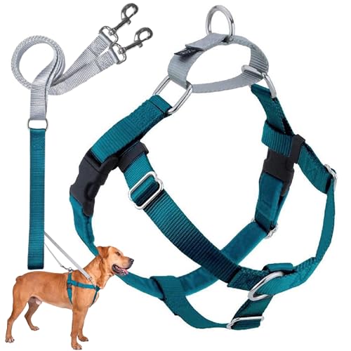 2 Hounds Design Freedom No Pull Dog Harness, Adjustable Harness and Leash Set, Easy Walking & Comfortable Control, Fits Small, Medium & Large Dogs, Solid Colors, Made in USA, 1' LG, Teal