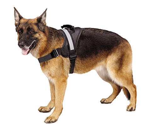 Big Dog Soft Reflective No Pull Black Harness size XL 36-46inch