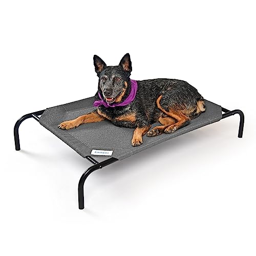 Coolaroo The Original Cooling Elevated Dog Bed, Indoor and Outdoor, Medium, Gunmetal