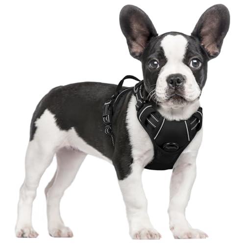 rabbitgoo Dog Harness, No-Pull Pet Harness with 2 Leash Clips, Adjustable Soft Padded Dog Vest, Reflective No-Choke Pet Oxford Vest with Easy Control Handle for Small Dogs, Black, S