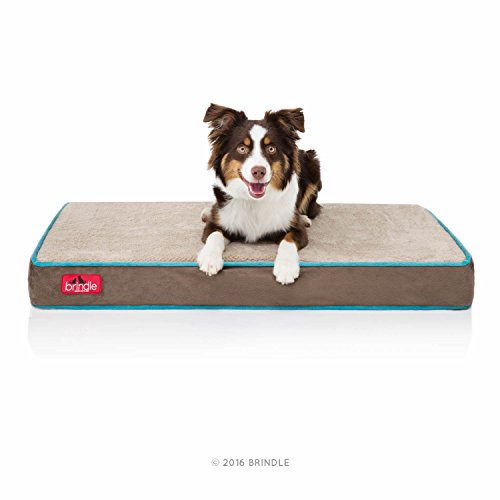 BRINDLE Waterproof Memory Foam Pet Bed - Removable and Washable Cover - 4 Inch Orthopedic Dog and Cat Bed - Fits Most Crates,Mocha Blue