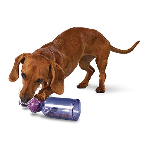 PetSafe Busy Buddy Tug-A-Jug Dog Toy – Slow Feeder and Trainer – Small