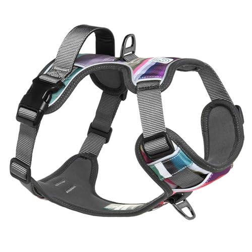 Embark Urban Dog Harness, Reflective Trim No Pull Dog Harnesses for Small Sized Dogs - Military Grade Nylon, Front Clip Dog Harness with Gel Lined Handle. Soft & Padded Puppy Dog Harnesses.