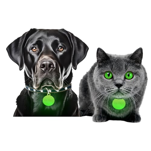 GLO-X Dog & Cat Collar Glow Tags – World’s Most Powerful Glow in The Dark Pet Collar Glow Tags to Keep Your Cats & Dogs Safe at Night – Enhance Visibility-12+ Hours Glow Time – Solar Powered