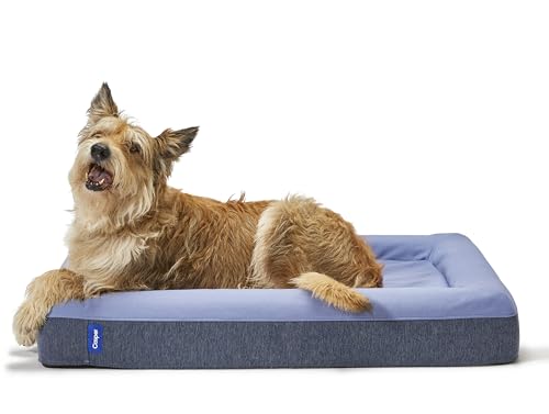 Casper Dog Bed, Plush Memory Foam, Medium, Blue