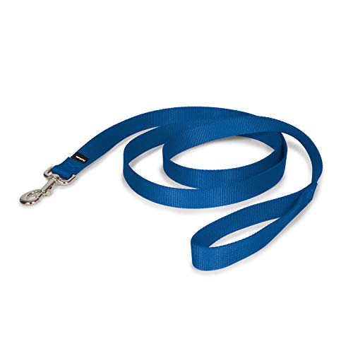 PetSafe Nylon Dog Leash – Strong, Durable, Traditional Style Leash with Easy to Use Bolt Snap – 1' x 6', Royal Blue