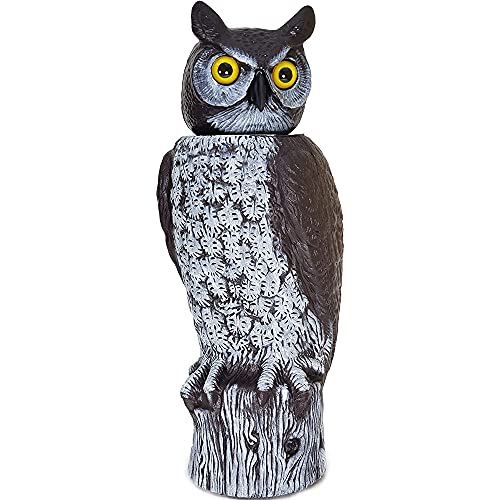 Dalen Rotating Head Fake Owl Decoy to Scare Birds Away from Gardens, Rooftops, and Patios - Scarecrow Provides Chemical-Free Pest Control - Safe and Humane, 18' 360º Rotating Head