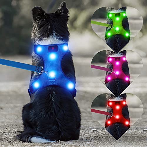 DOMIGLOW Safety LED Dog Harness - Light Up Dog Vest, No-Pull Dog Harness - Rechargeable Glowing Pet Harness for Night Walking & Camping (Blue, Small)