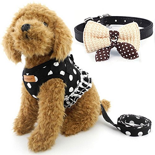 BARKLESS Cute Small Dog Harness, Ladies Polka Dots Dog Vest Harness Set with Pink Leash and Bowknot Collar, 3 in 1 Girl Style Vest Harness Set for Puppy and Cat (L, Black)