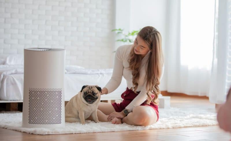 dog air purifier