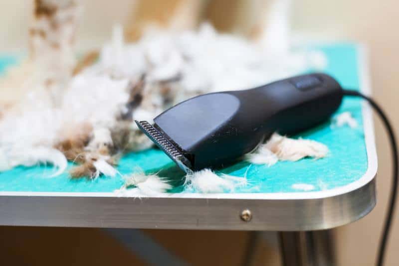 best dog grooming clippers