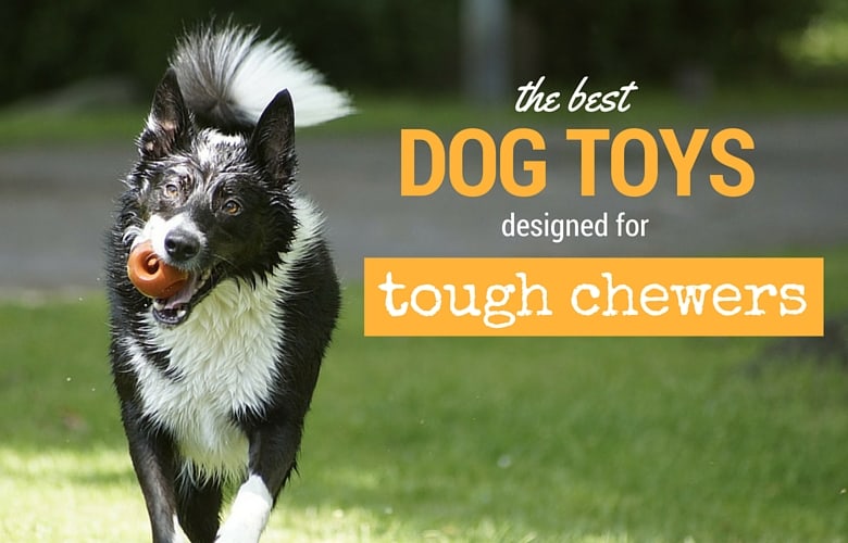 best dog toys for aggressive chewers