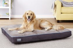 Better World Pet Bed