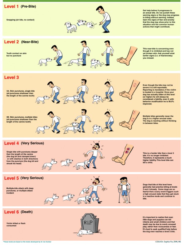 Bite Levels