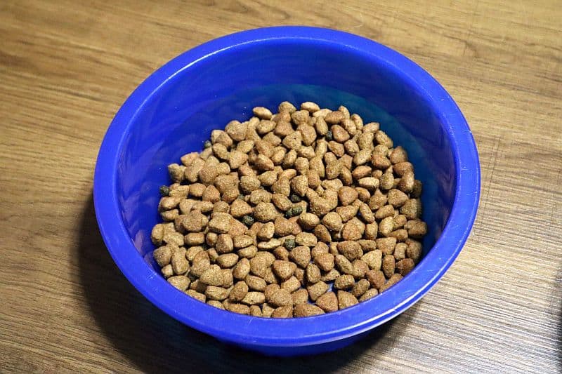 Kibble Comparison