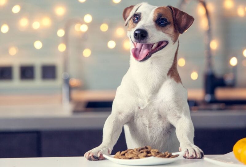 dog food bonus ingredients