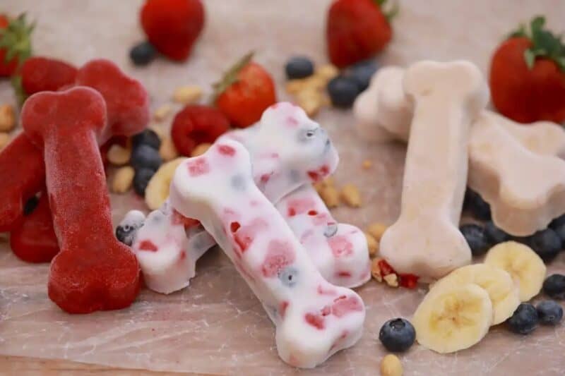 best frozen treats for dogs