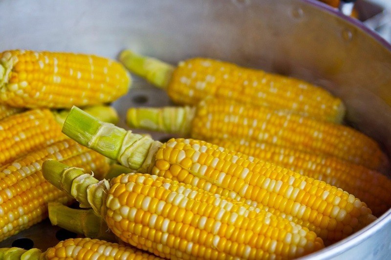 dog-ate-corn-cob