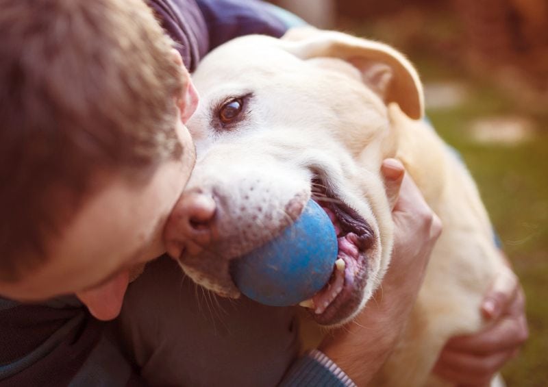 indestructible dog ball toys