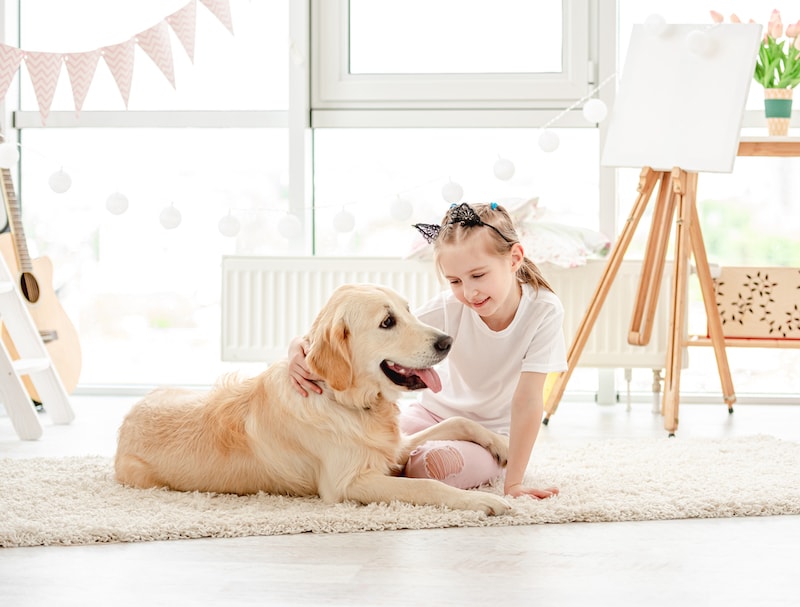 dog being pet by child