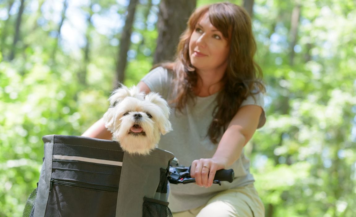 best dog bike baskets