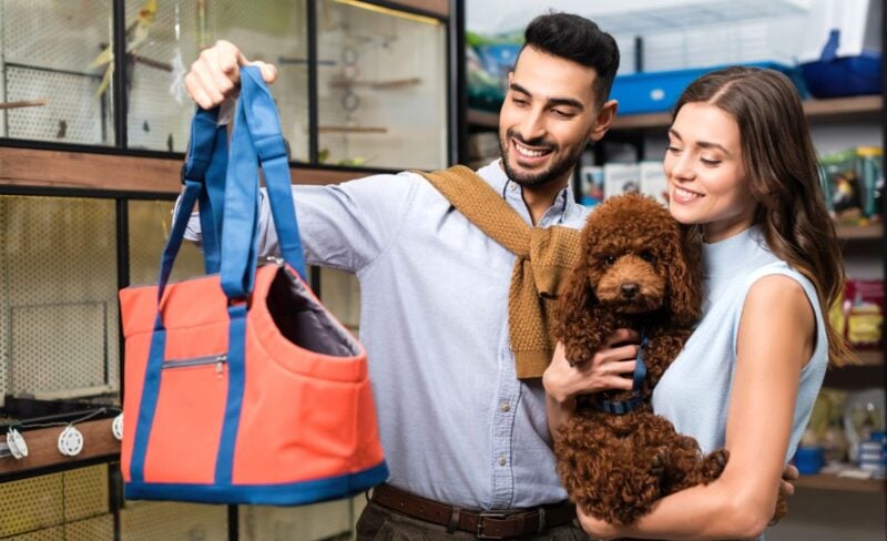 choosing carrier purse for dogs