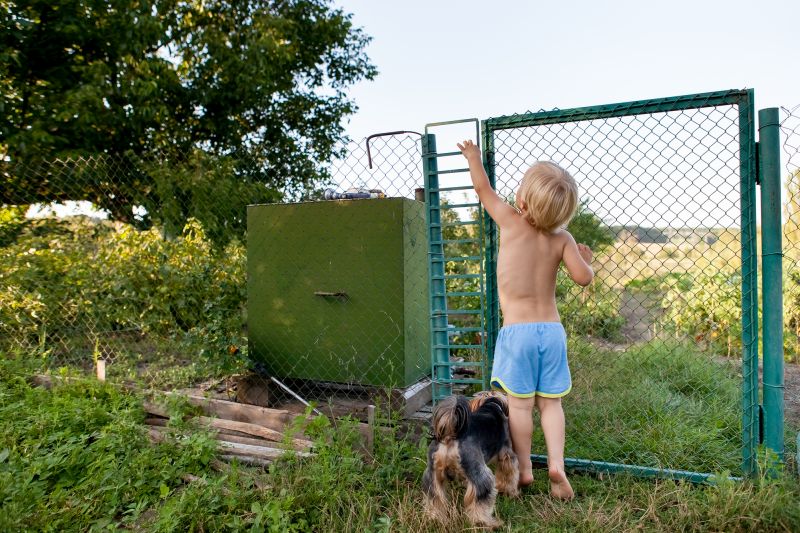 teach dogs not to go through gate