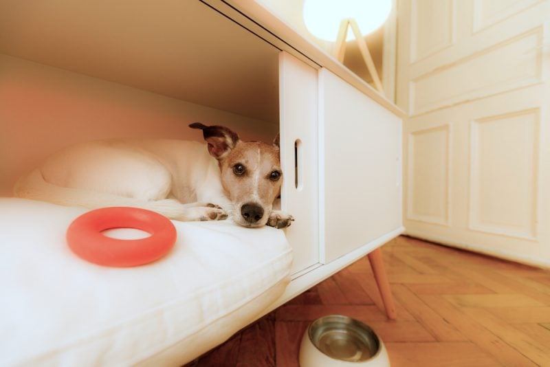 dog furniture crates