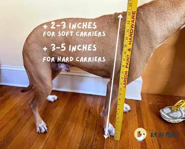 dog height measurement