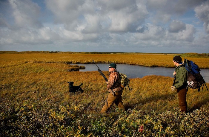 dog hunting training