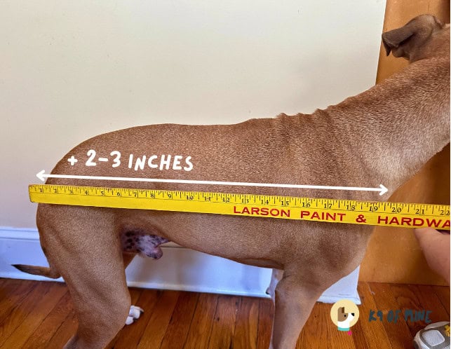 dog length measurement