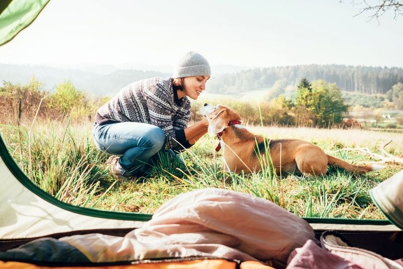 dogs need sleeping bags