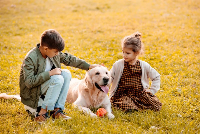 Dogs for Autistic Children