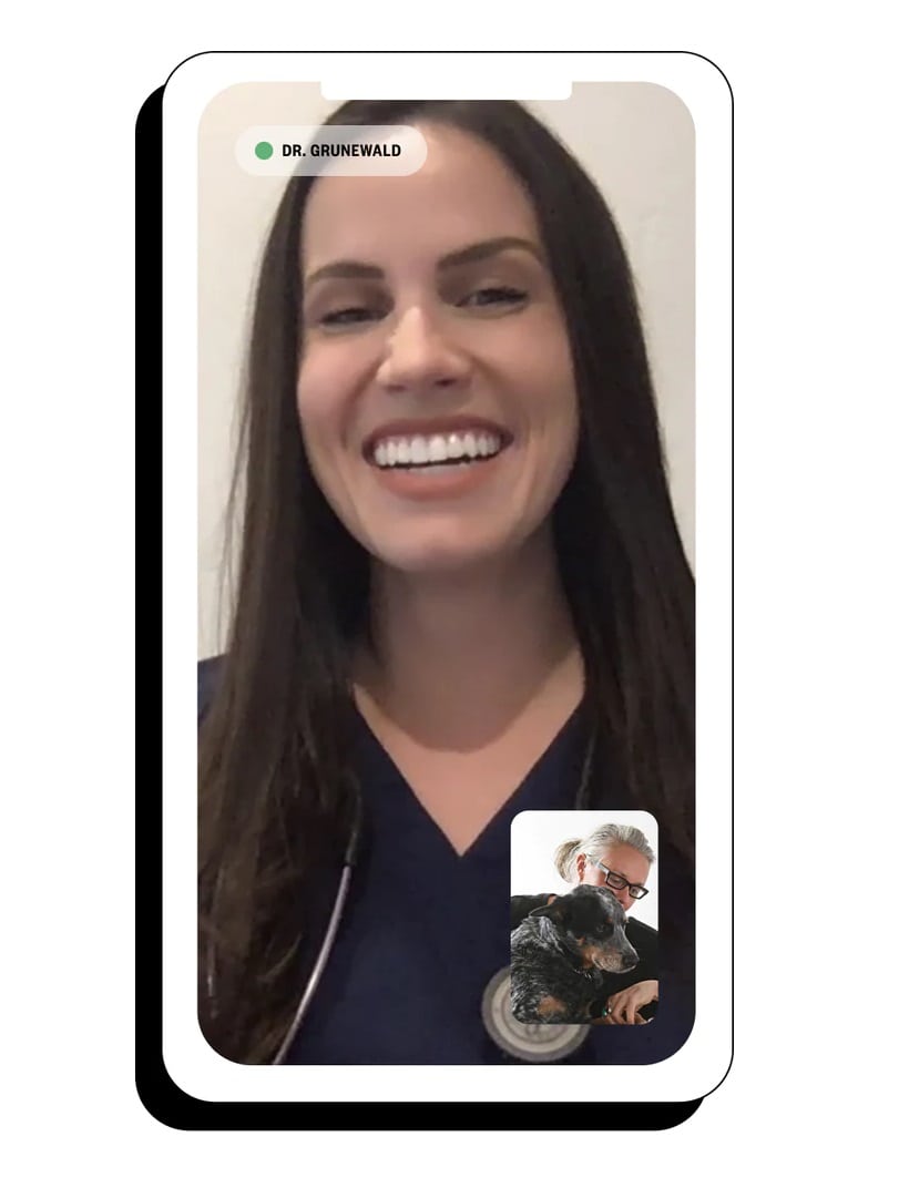 Virtual Vet Visit