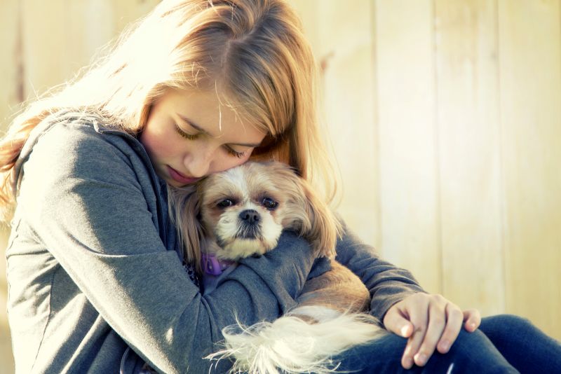 emotional support animals