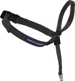 PetSafe Gentle Leader Head Halter