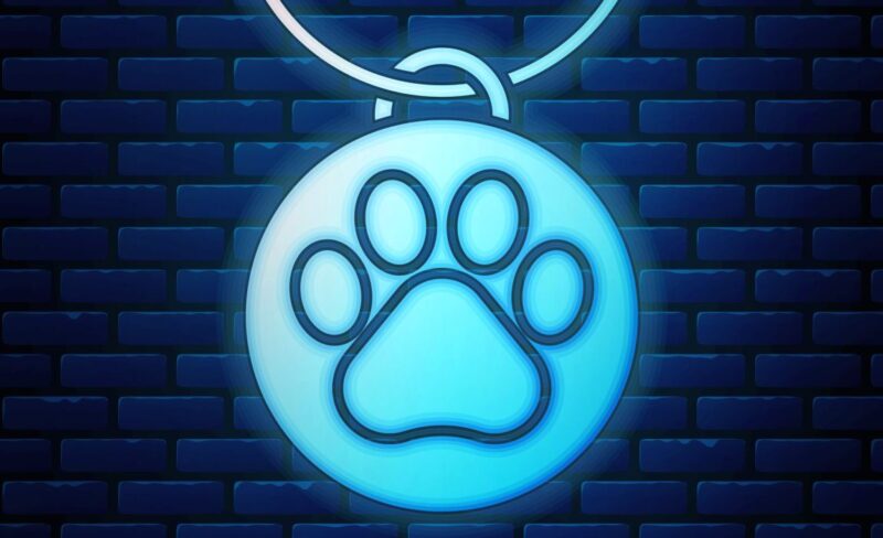 Glow-in-the-dark dog ID tag