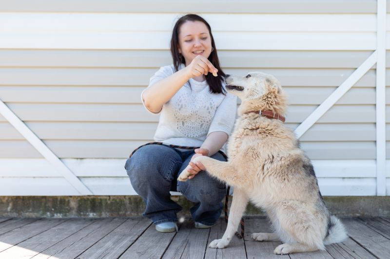 dog treats