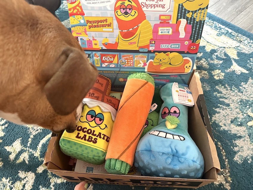 420 barkbox