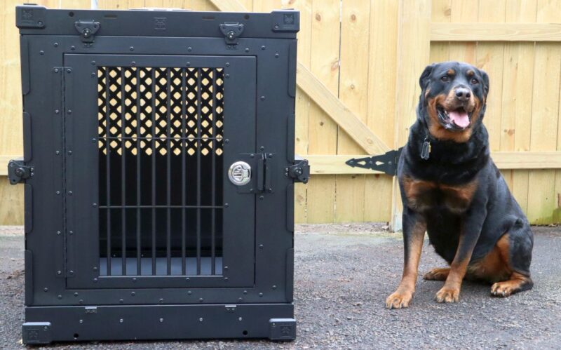 Impact Collapsible Dog Crate Review