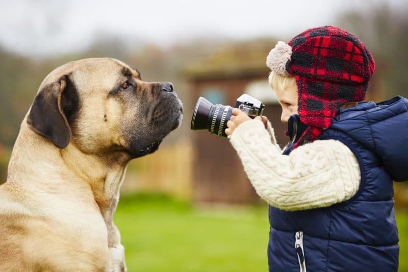 Largest Dog Breeds