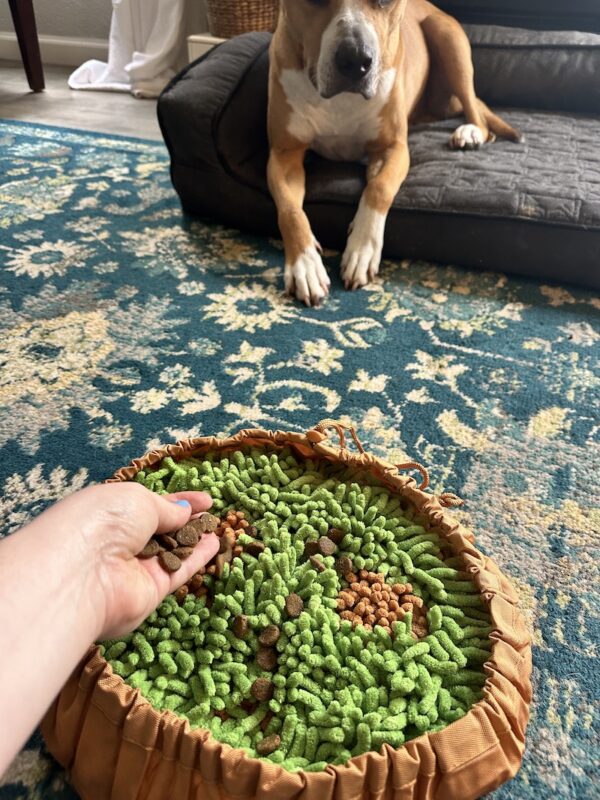 loading the forager bowl