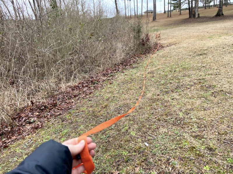 long line leashes are bad for puppies