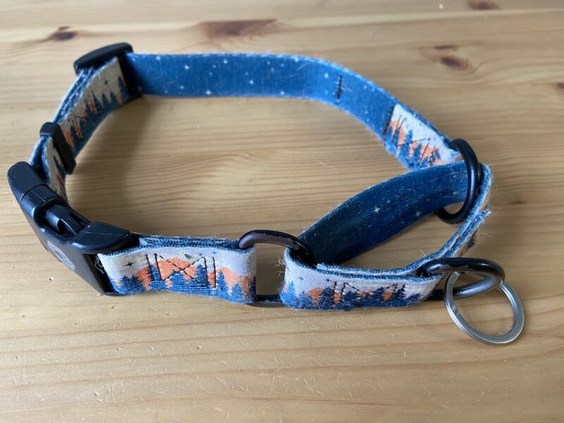 martingale dog collar