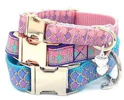 Mermaid Dog Collar