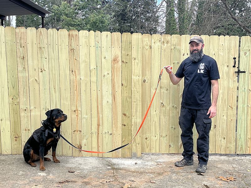 dog on multi-function leash