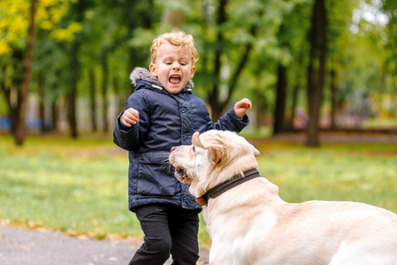 your reaction to your dog muzzle punching